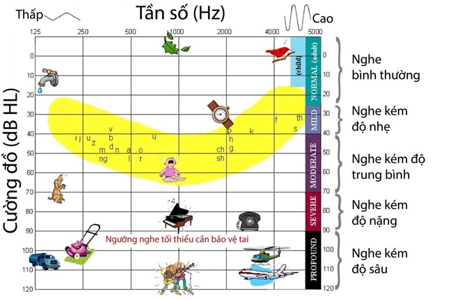 Biểu đồ mô tả ngưỡng tần số của tiếng ồn trong môi trường và mức độ ảnh hưởng tới thính giác